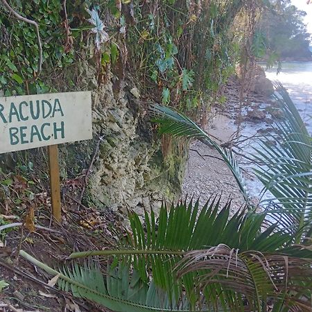 Barracuda Beach Hotel Port Antonio Bagian luar foto