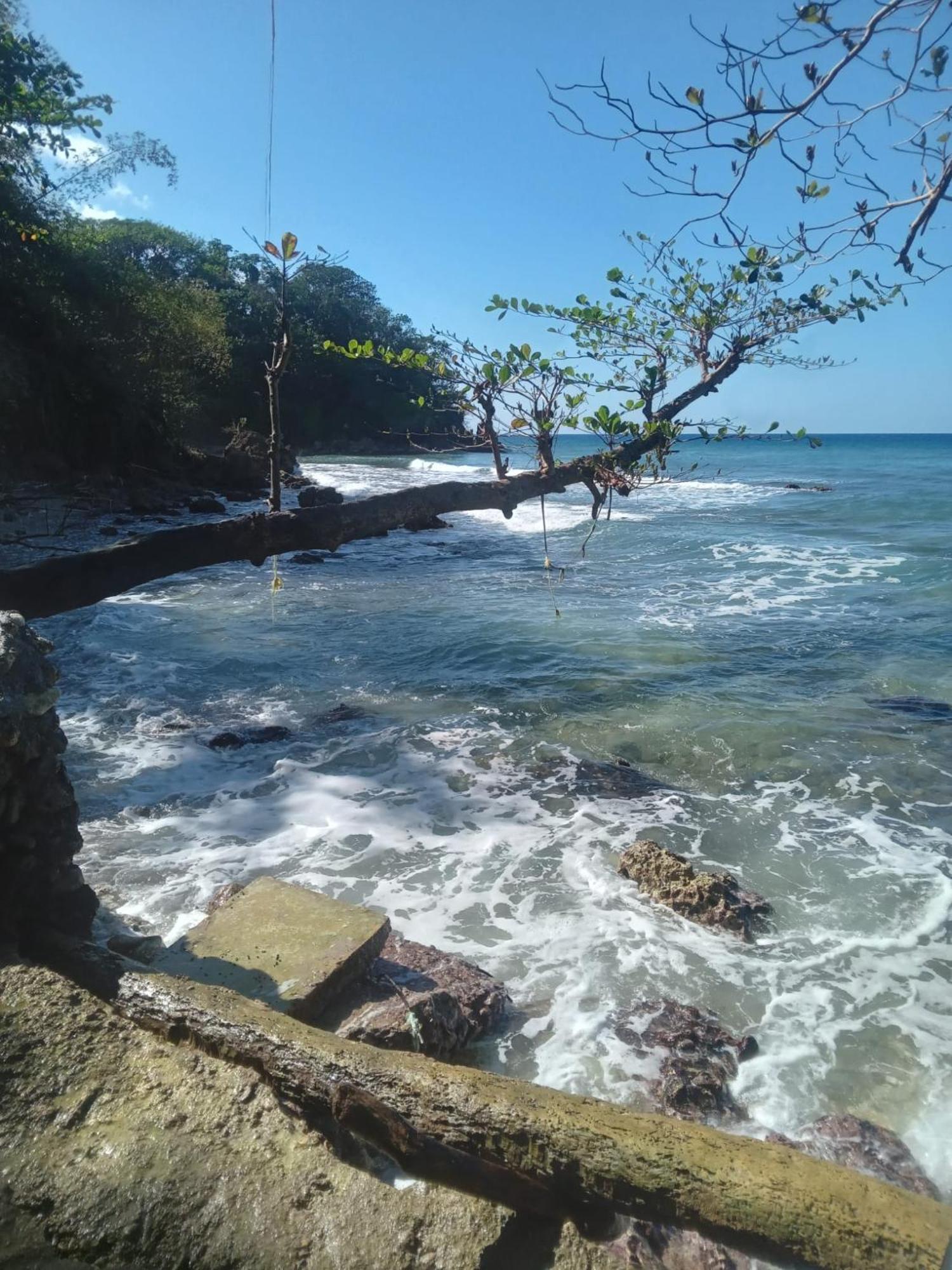 Barracuda Beach Hotel Port Antonio Bagian luar foto