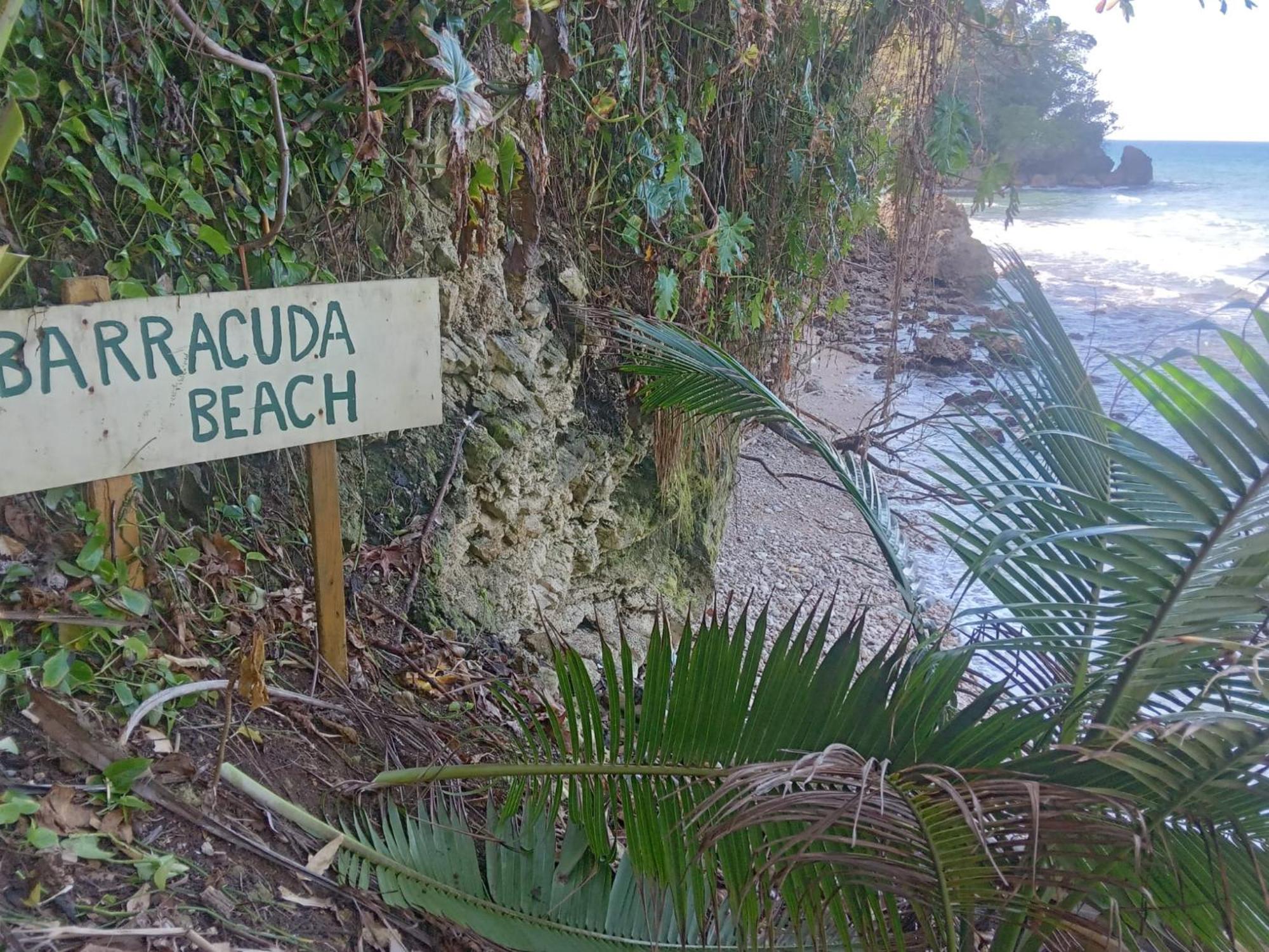 Barracuda Beach Hotel Port Antonio Bagian luar foto