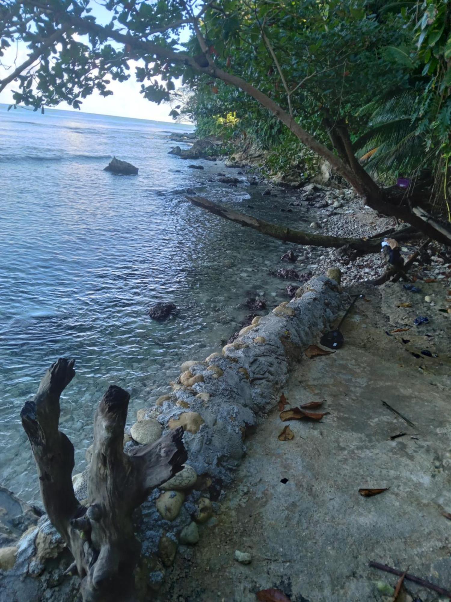 Barracuda Beach Hotel Port Antonio Bagian luar foto